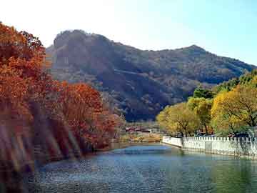 奥门天天开奖免费资料，中关村物流